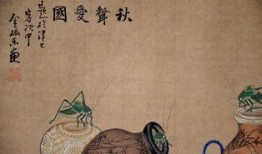 日本牲交视频,背后真相与反思